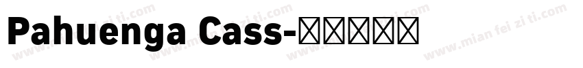 Pahuenga Cass字体转换